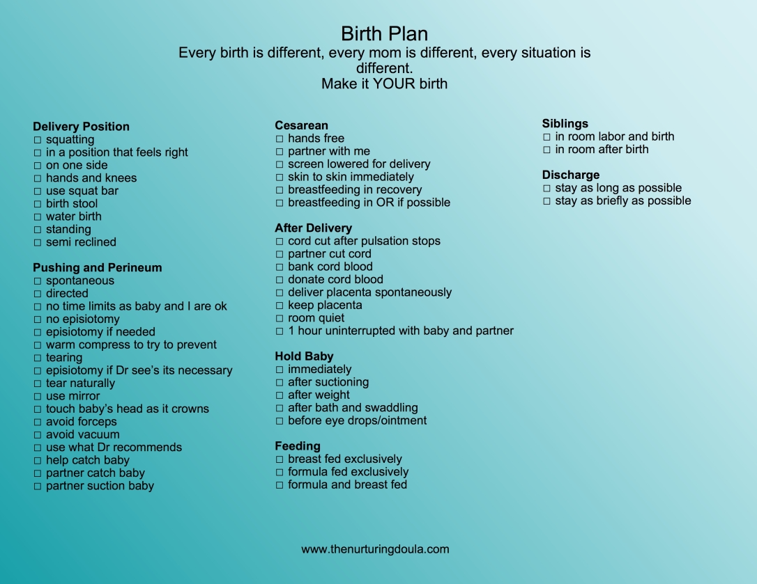 Birth plan 2